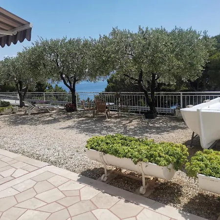 Zara Guest house 3*