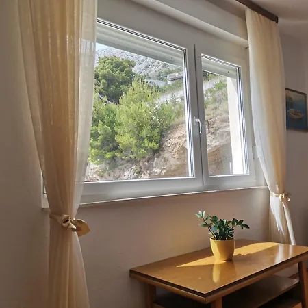 Zara Guest house